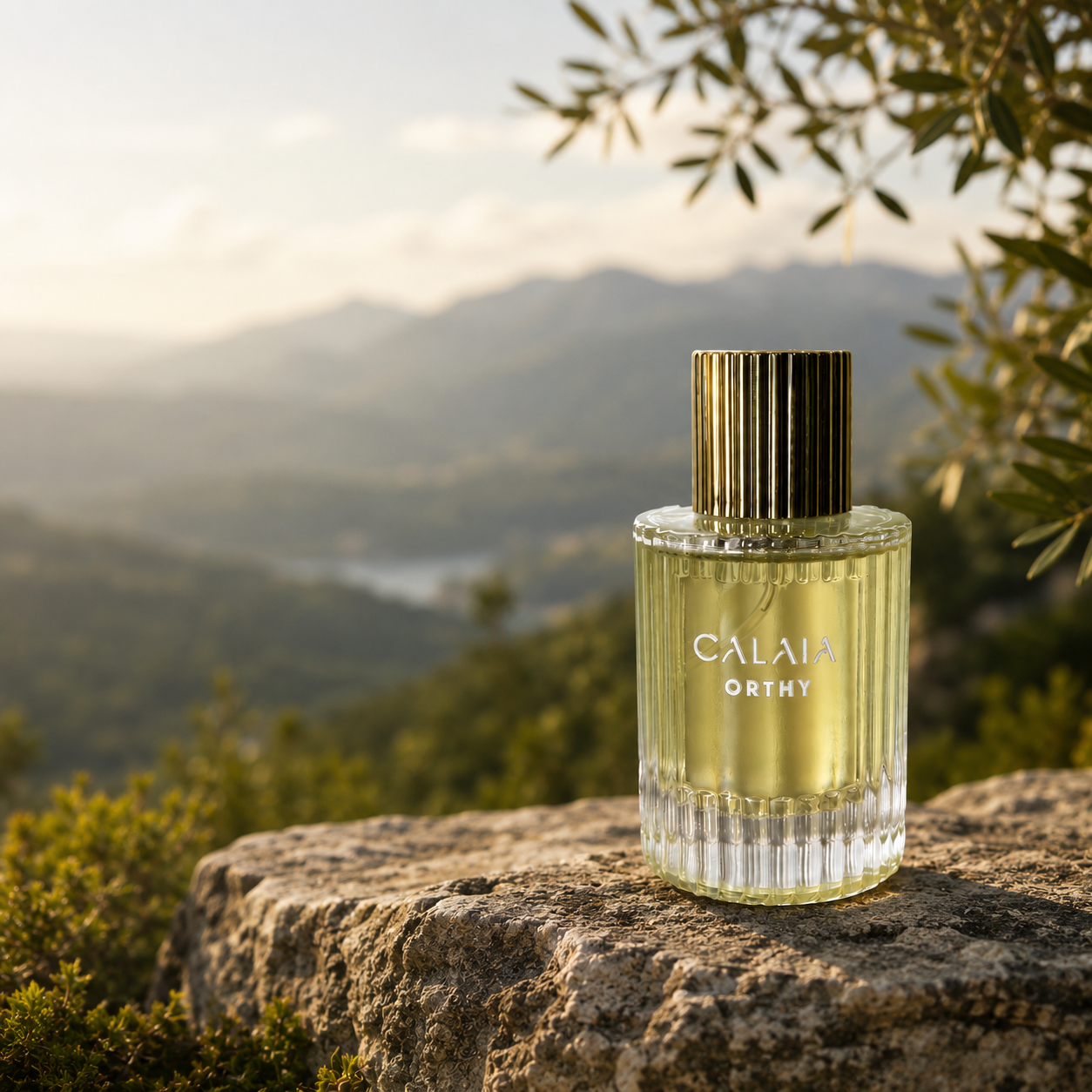Calaia Eau De Parfum Spray - Orthy